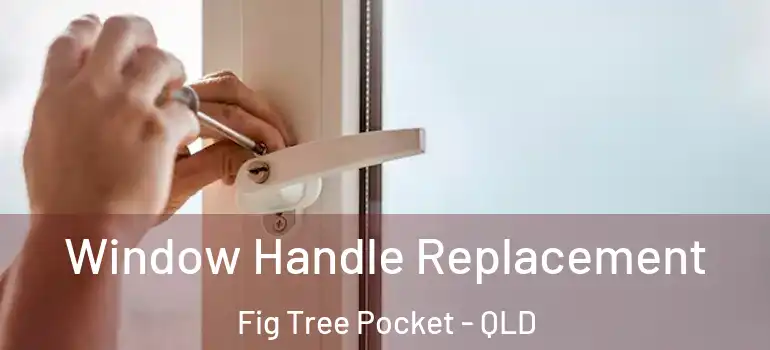 Window Handle Replacement Fig Tree Pocket - QLD