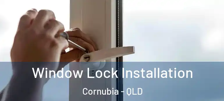 Window Lock Installation Cornubia - QLD