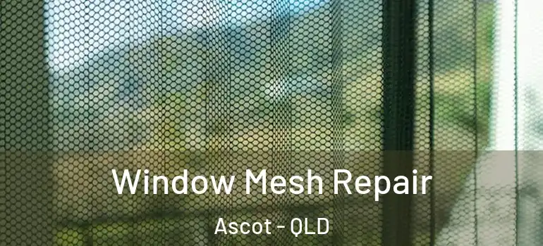 Window Mesh Repair Ascot - QLD
