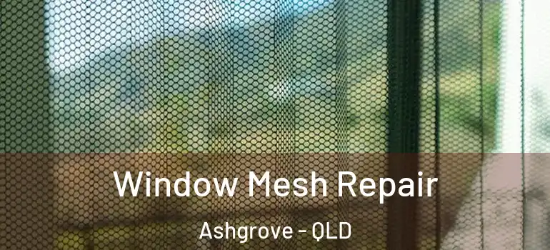 Window Mesh Repair Ashgrove - QLD