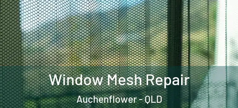 Window Mesh Repair Auchenflower - QLD