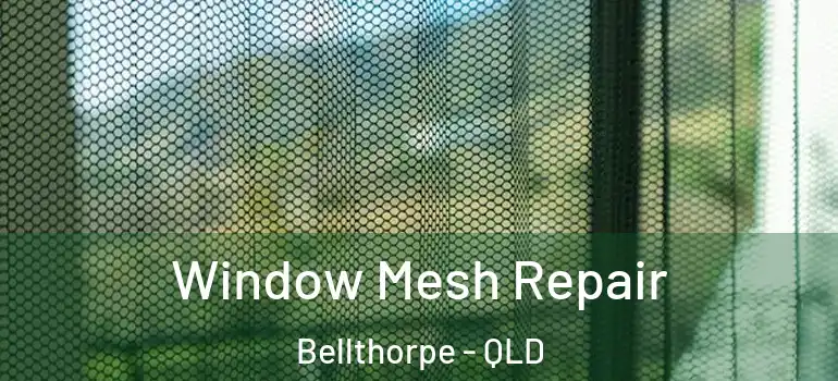 Window Mesh Repair Bellthorpe - QLD