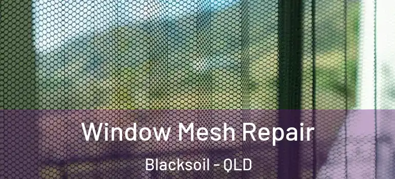 Window Mesh Repair Blacksoil - QLD
