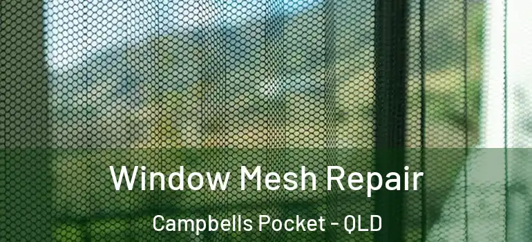 Window Mesh Repair Campbells Pocket - QLD