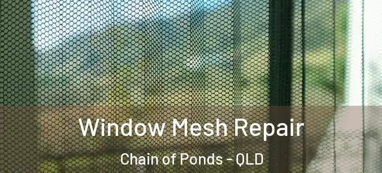 Window Mesh Repair Chain of Ponds - QLD