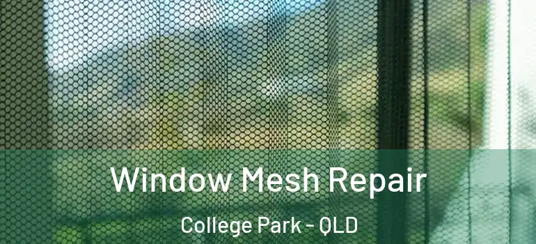 Window Mesh Repair College Park - QLD