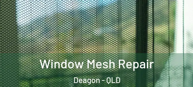 Window Mesh Repair Deagon - QLD