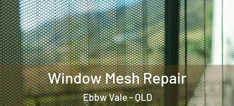 Window Mesh Repair Ebbw Vale - QLD