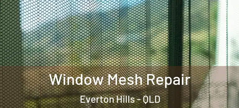 Window Mesh Repair Everton Hills - QLD