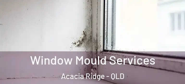 Window Mould Services Acacia Ridge - QLD