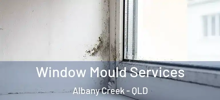  Window Mould Services Albany Creek - QLD