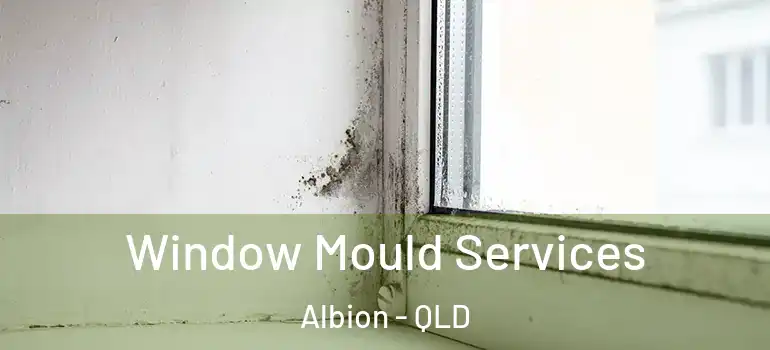  Window Mould Services Albion - QLD