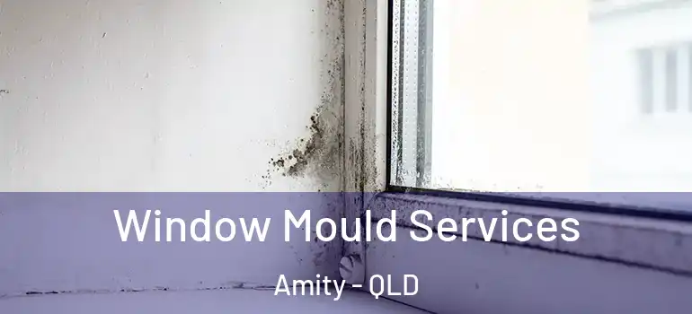Window Mould Services Amity - QLD