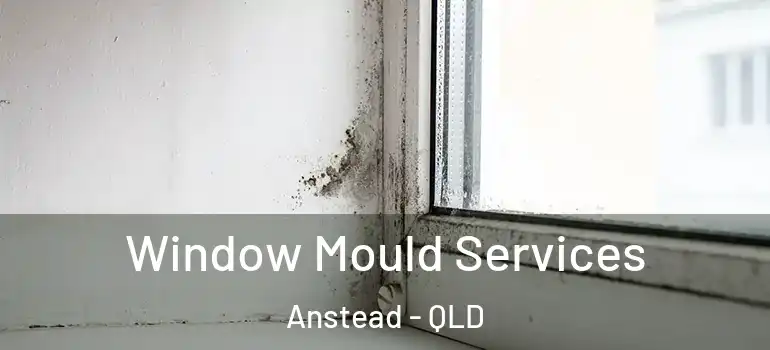 Window Mould Services Anstead - QLD