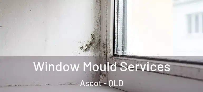 Window Mould Services Ascot - QLD