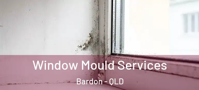 Window Mould Services Bardon - QLD