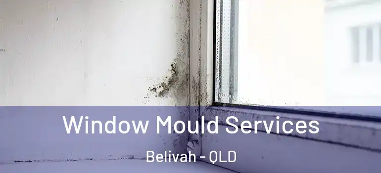  Window Mould Services Belivah - QLD