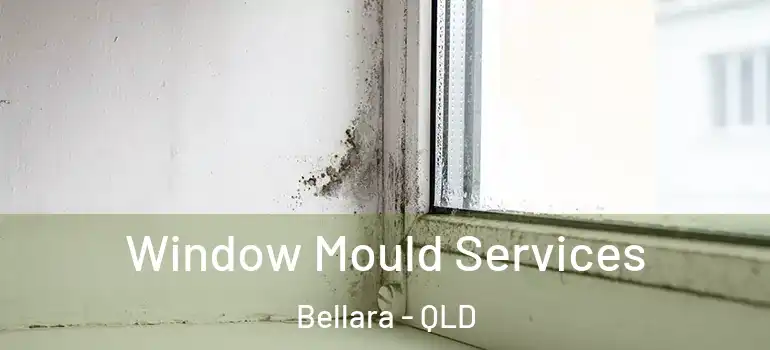 Window Mould Services Bellara - QLD