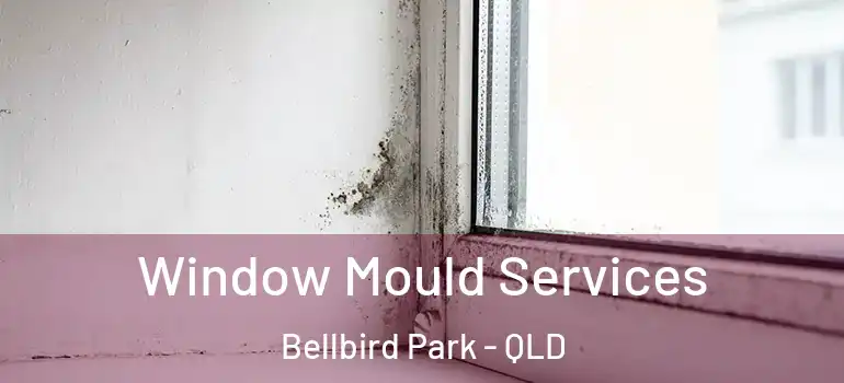 Window Mould Services Bellbird Park - QLD