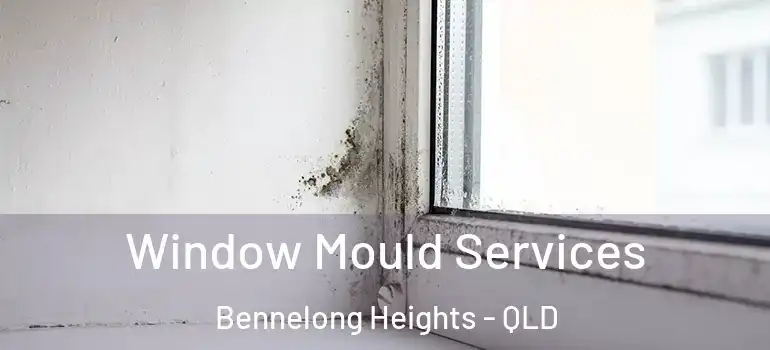 Window Mould Services Bennelong Heights - QLD