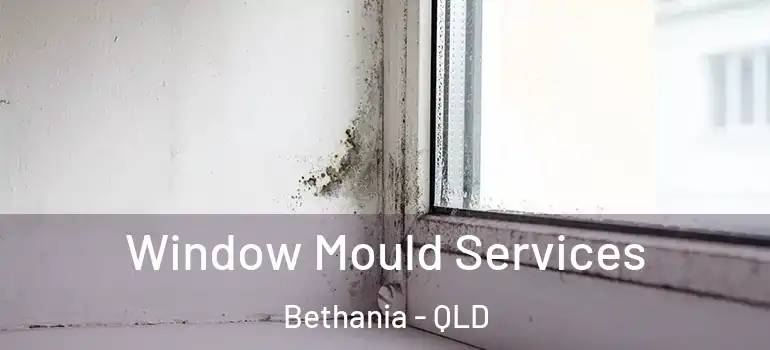 Window Mould Services Bethania - QLD