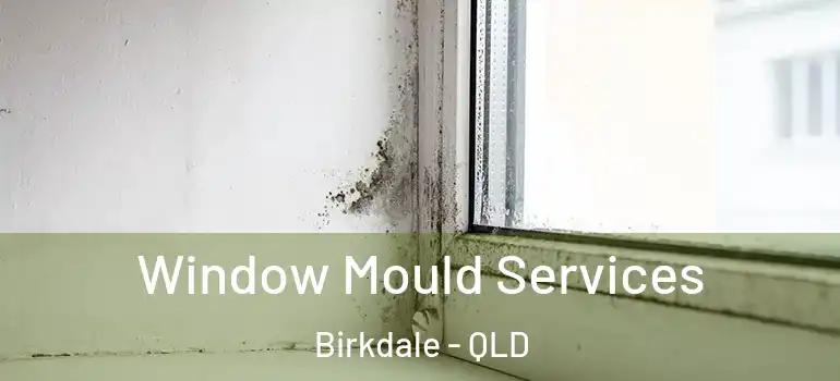 Window Mould Services Birkdale - QLD