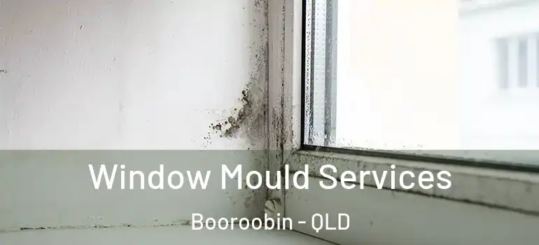 Window Mould Services Booroobin - QLD