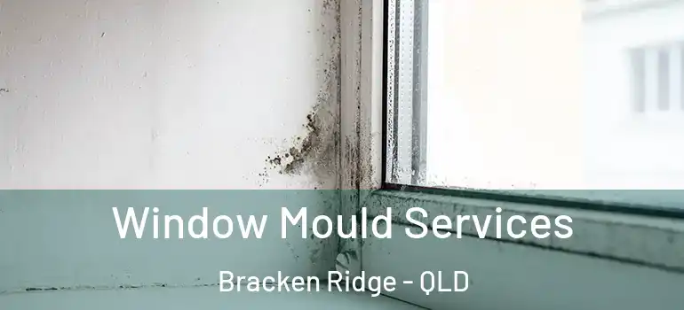 Window Mould Services Bracken Ridge - QLD