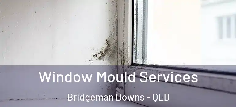  Window Mould Services Bridgeman Downs - QLD