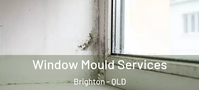 Window Mould Services Brighton - QLD