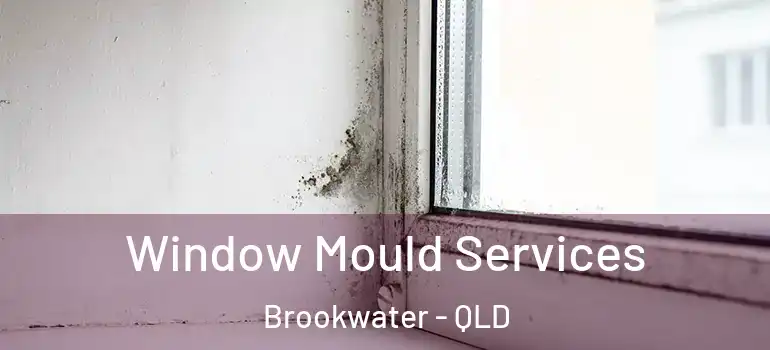 Window Mould Services Brookwater - QLD