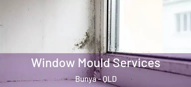 Window Mould Services Bunya - QLD