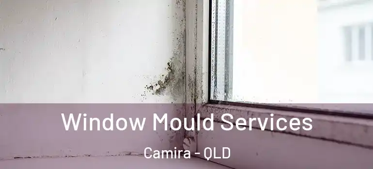 Window Mould Services Camira - QLD