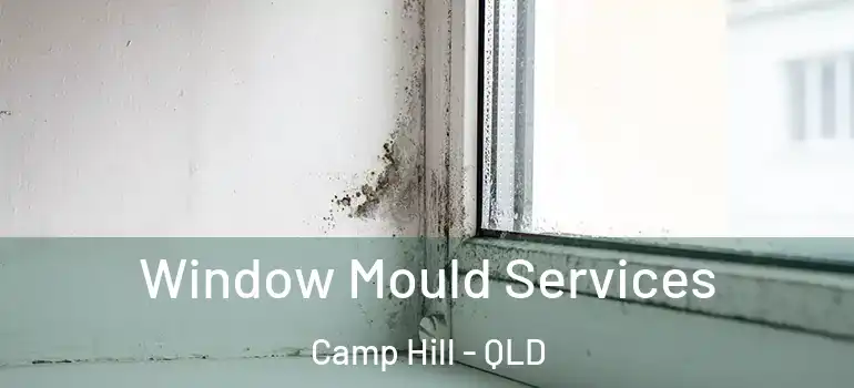 Window Mould Services Camp Hill - QLD