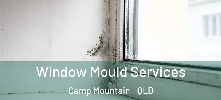Window Mould Services Camp Mountain - QLD