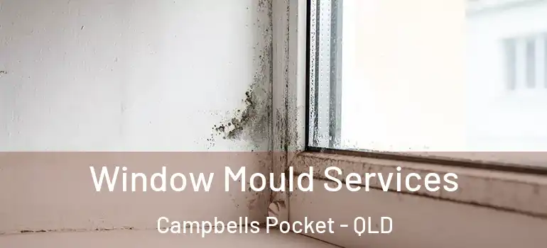 Window Mould Services Campbells Pocket - QLD