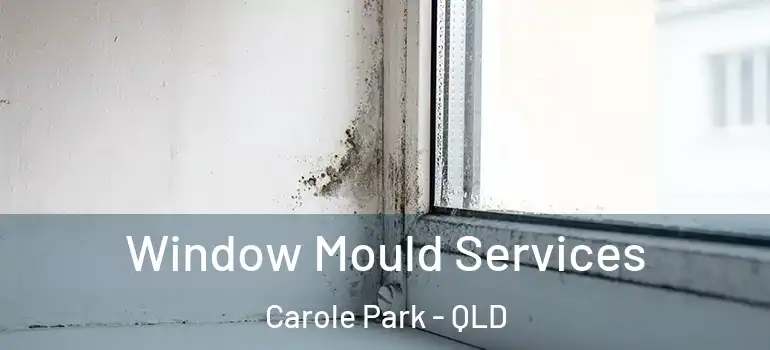 Window Mould Services Carole Park - QLD
