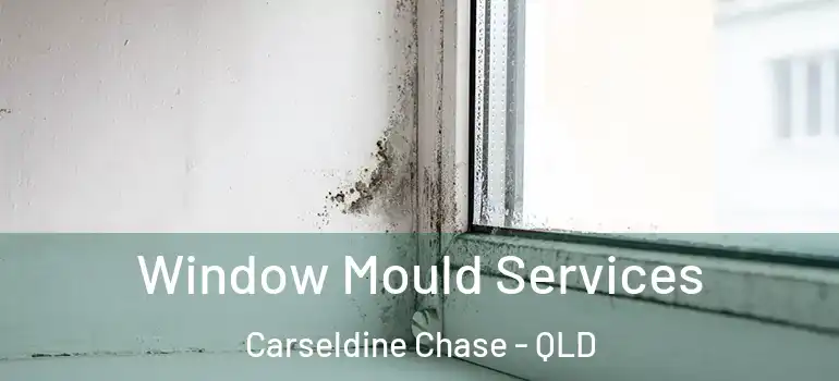 Window Mould Services Carseldine Chase - QLD