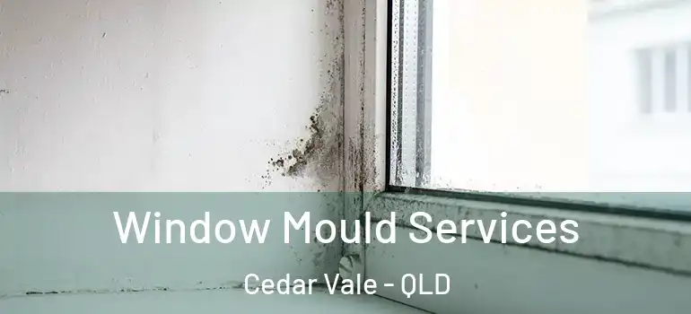 Window Mould Services Cedar Vale - QLD