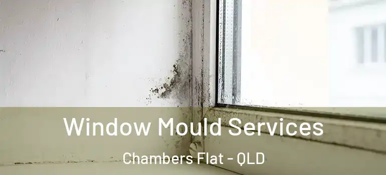 Window Mould Services Chambers Flat - QLD