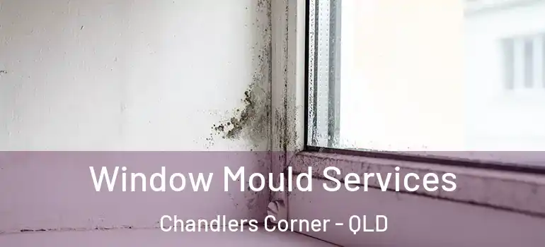 Window Mould Services Chandlers Corner - QLD
