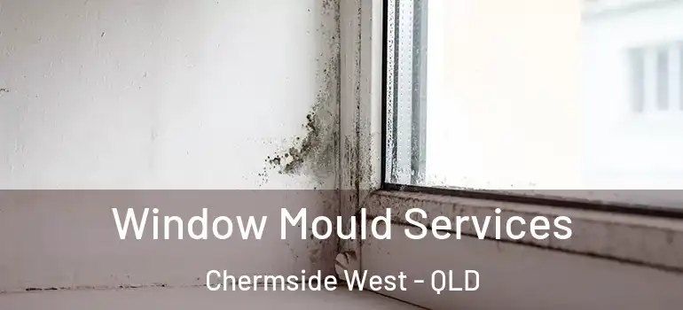 Window Mould Services Chermside West - QLD
