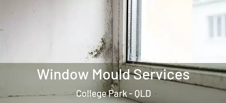 Window Mould Services College Park - QLD
