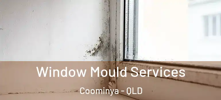  Window Mould Services Coominya - QLD
