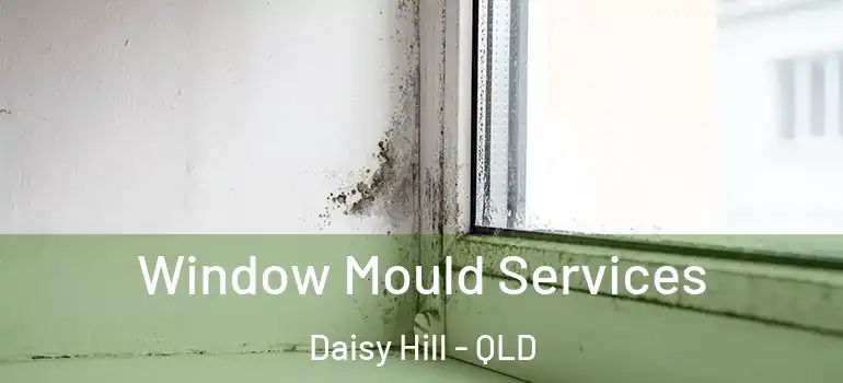 Window Mould Services Daisy Hill - QLD