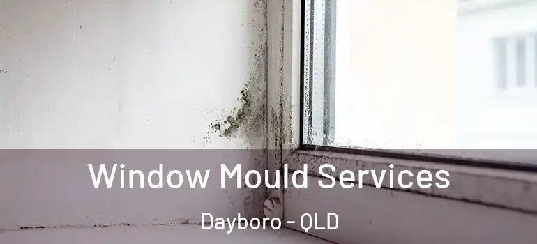 Window Mould Services Dayboro - QLD