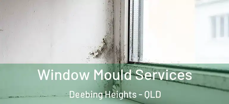 Window Mould Services Deebing Heights - QLD