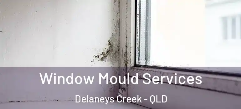 Window Mould Services Delaneys Creek - QLD