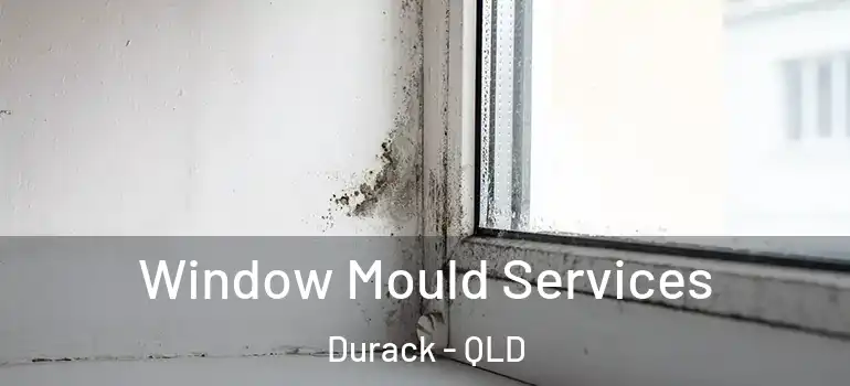 Window Mould Services Durack - QLD