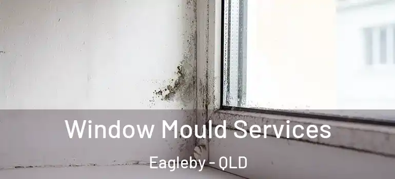 Window Mould Services Eagleby - QLD